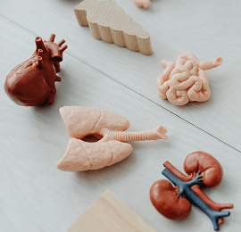 A full bowl of nuts and fruits